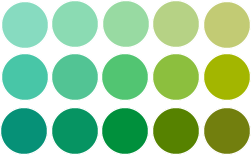 Your Best Greens