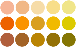 Your Best Yellows & Oranges