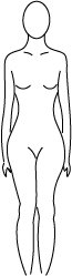 Your Body Shape